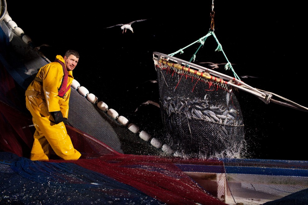 Degustazioni contro la pesca insostenibile