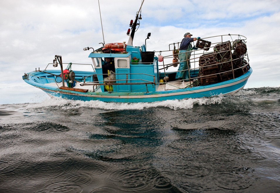 Degustazioni contro la pesca insostenibile
