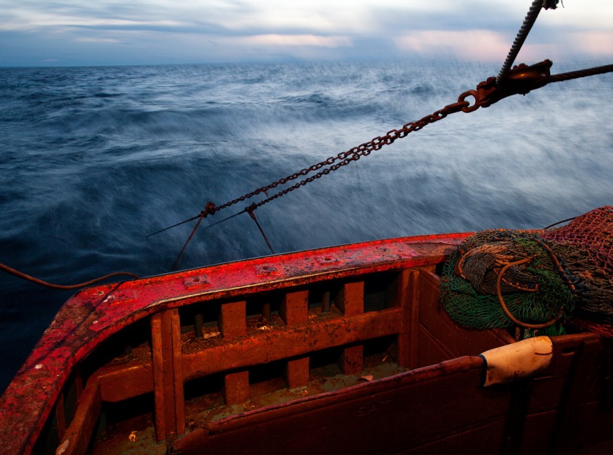 Degustazioni contro la pesca insostenibile