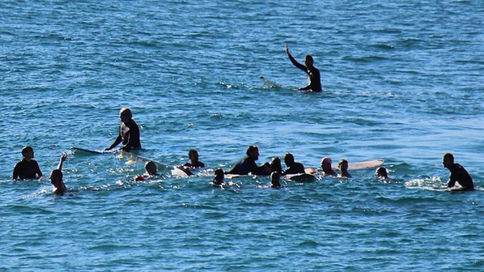 Australia, la balena tra i surfisti: giochi pericolosi