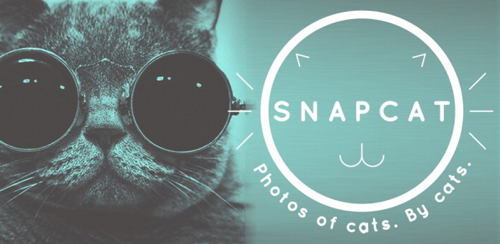 Una app per autoscatti felini: il gatto &egrave; fotografo