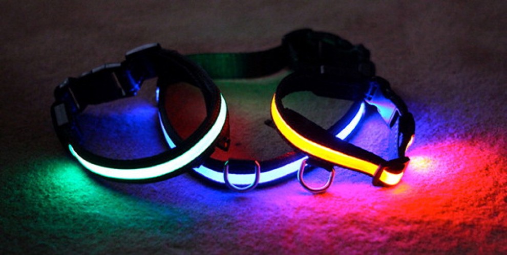 Cani al sicuro di notte: arriva il collare a Led