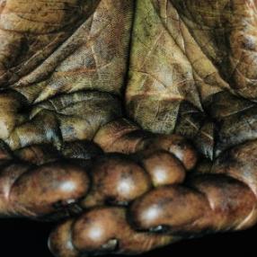 Un argine alla povertà