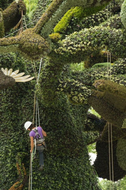 Canada, il giardino artistico: le piante sono statue