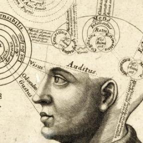Ecco perché la nostra mente ha bisogno di ricreare la realtà