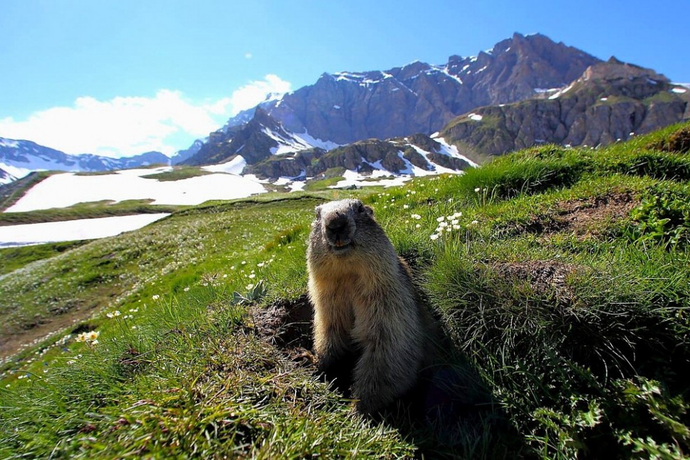 La vita sul Gran Paradiso negli scatti di Luca Casale