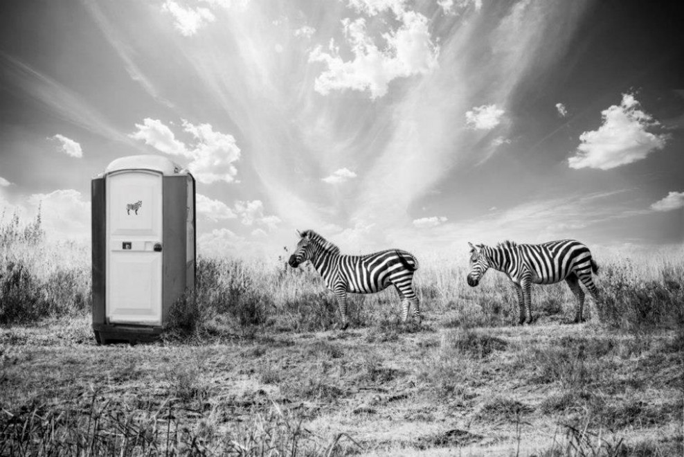 Hakuna Matata, animali e poesia: l'Africa &egrave; surreale