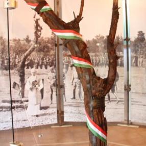 L'albero della memoria