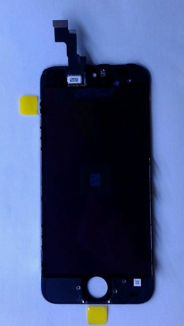 iPhone 5S e 5C fianco a fianco