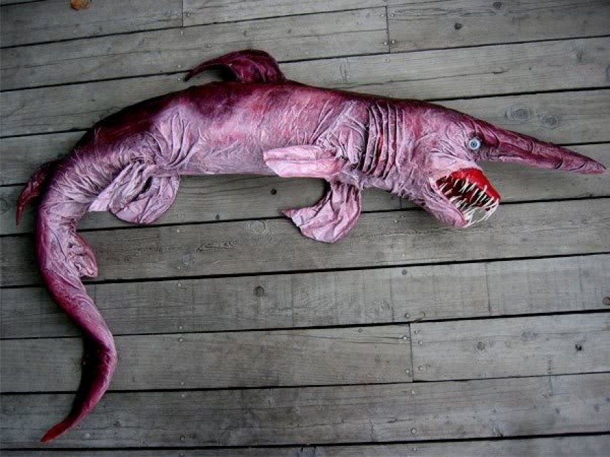 Dalla ''volpe coi trampoli'' al ''pesce triste'': le creature pi&ugrave; strane