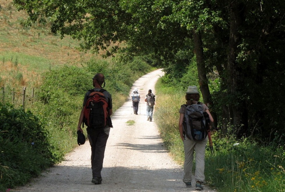 Da Assisi a Gubbio all'insegna della sostenibilit&agrave; ambientale