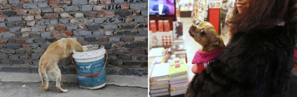 La Cina tra ricchi e poveri: il fotoconfronto