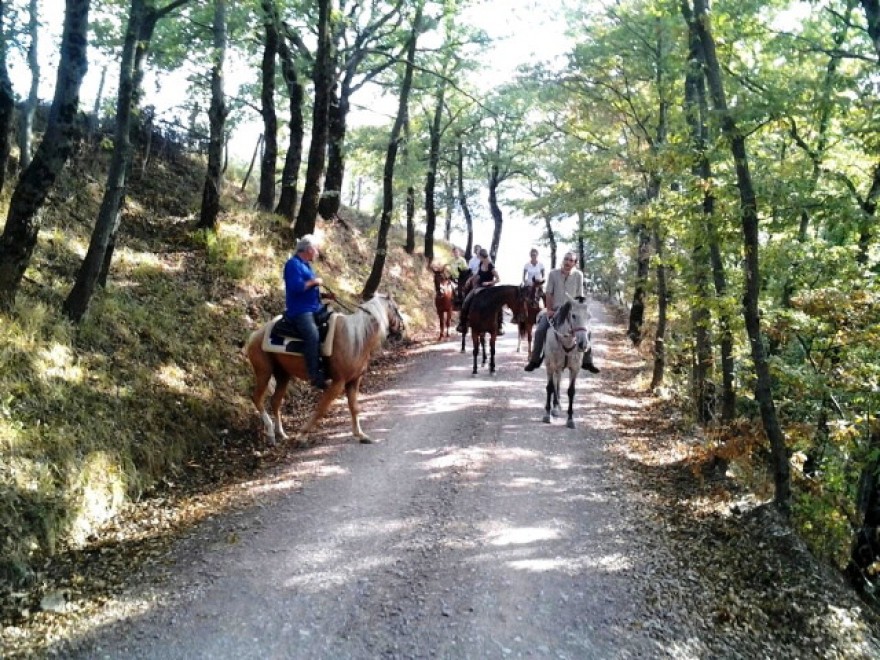 Italia, il boom della vacanza "on the road"