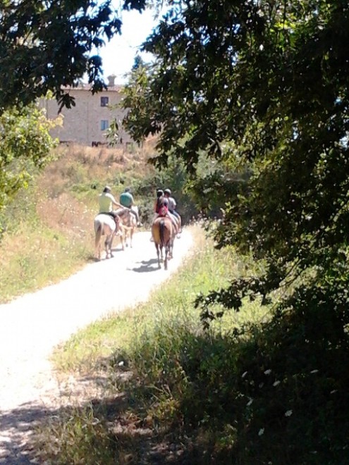 Italia, il boom della vacanza "on the road"