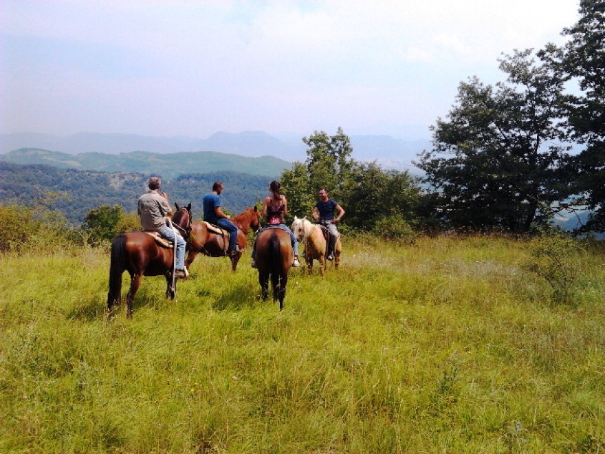Italia, il boom della vacanza "on the road"
