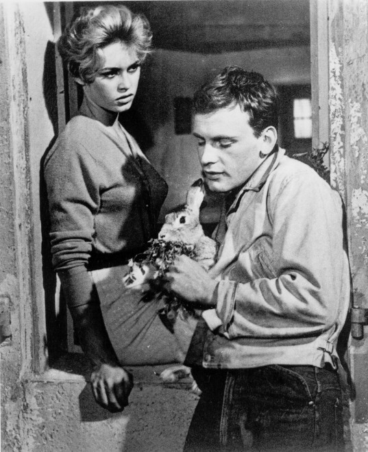 Anche Brigitte Bardot sbarca su Twitter