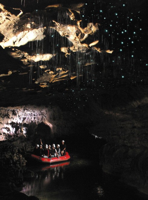 Nuova Zelanda, la grotta brilla: magia delle lucciole