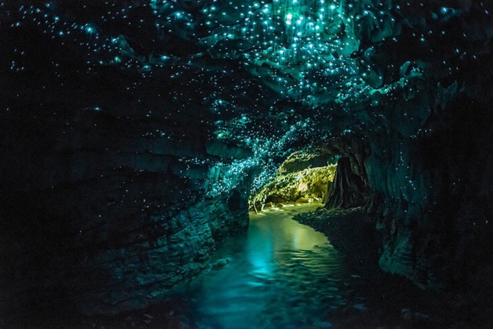 Nuova Zelanda, la grotta brilla: magia delle lucciole