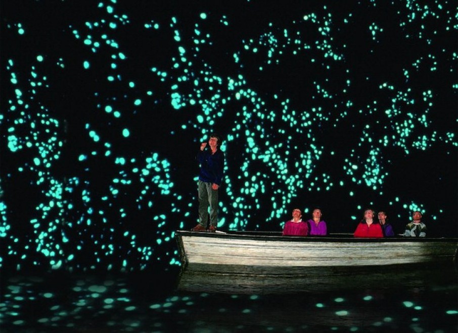 Nuova Zelanda, la grotta brilla: magia delle lucciole