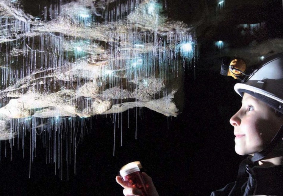 Nuova Zelanda, la grotta brilla: magia delle lucciole