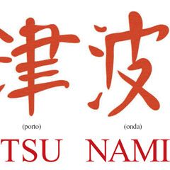 20 marzo 2011 - Tsunami