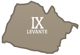 Municipio IX - Levante