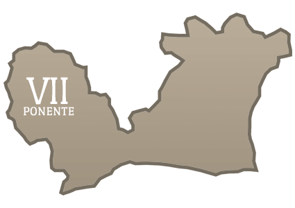 Municipio VII - Ponente