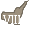 Municipio VIII - Medio Levante